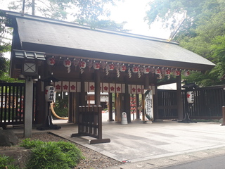 20180616A.jpg