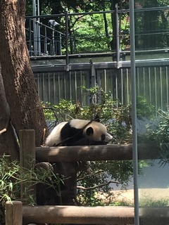 20180727B.jpg