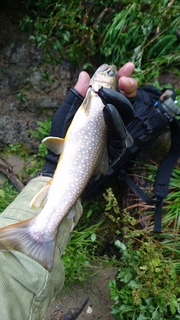20180901A.jpg