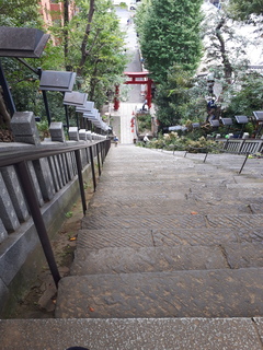 20180925E.jpeg