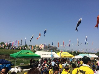 20190509A.JPG