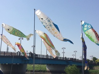 20190509B.JPG