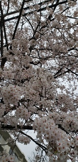20200323@.jpg