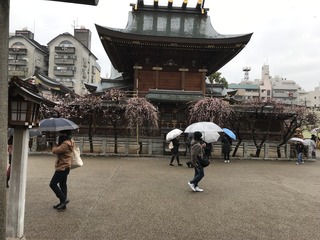 湯島天神の梅@.jpg